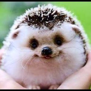 Meet your Posher, Vince